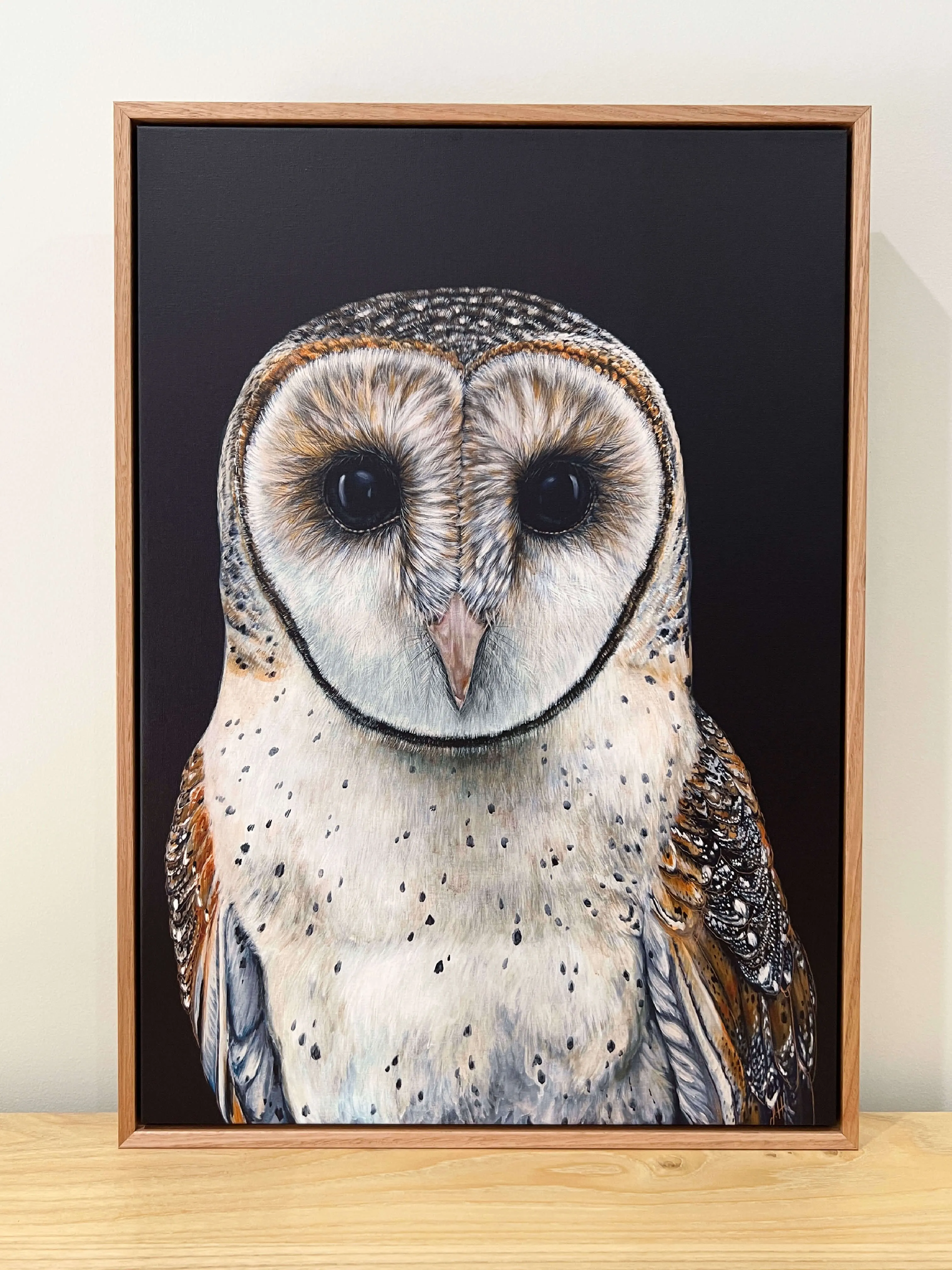 Faith the Australian Masked Owl Canvas Print