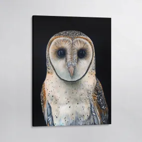 Faith the Australian Masked Owl Canvas Print