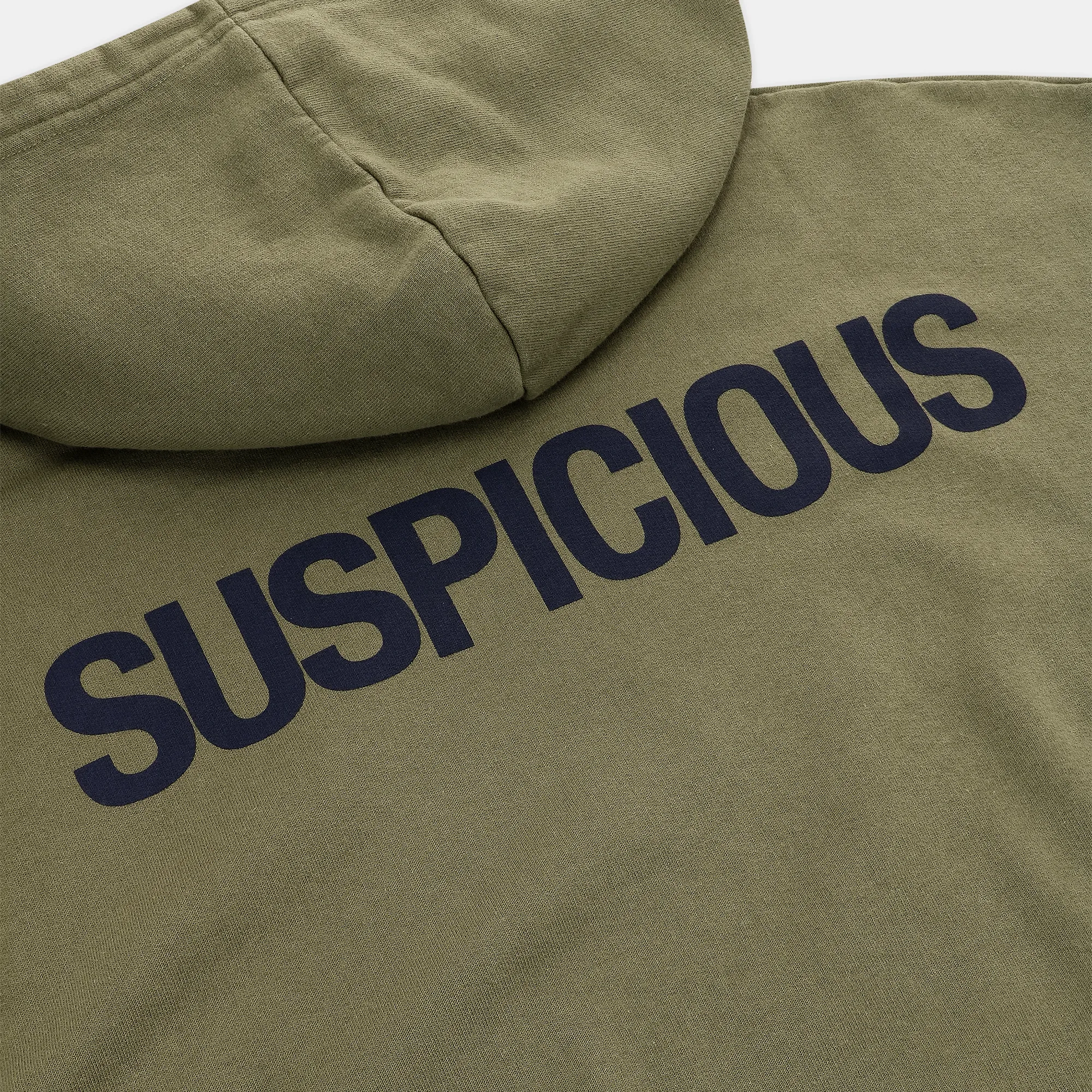 (Fall '24) The Suspicious Hoodie - Sage