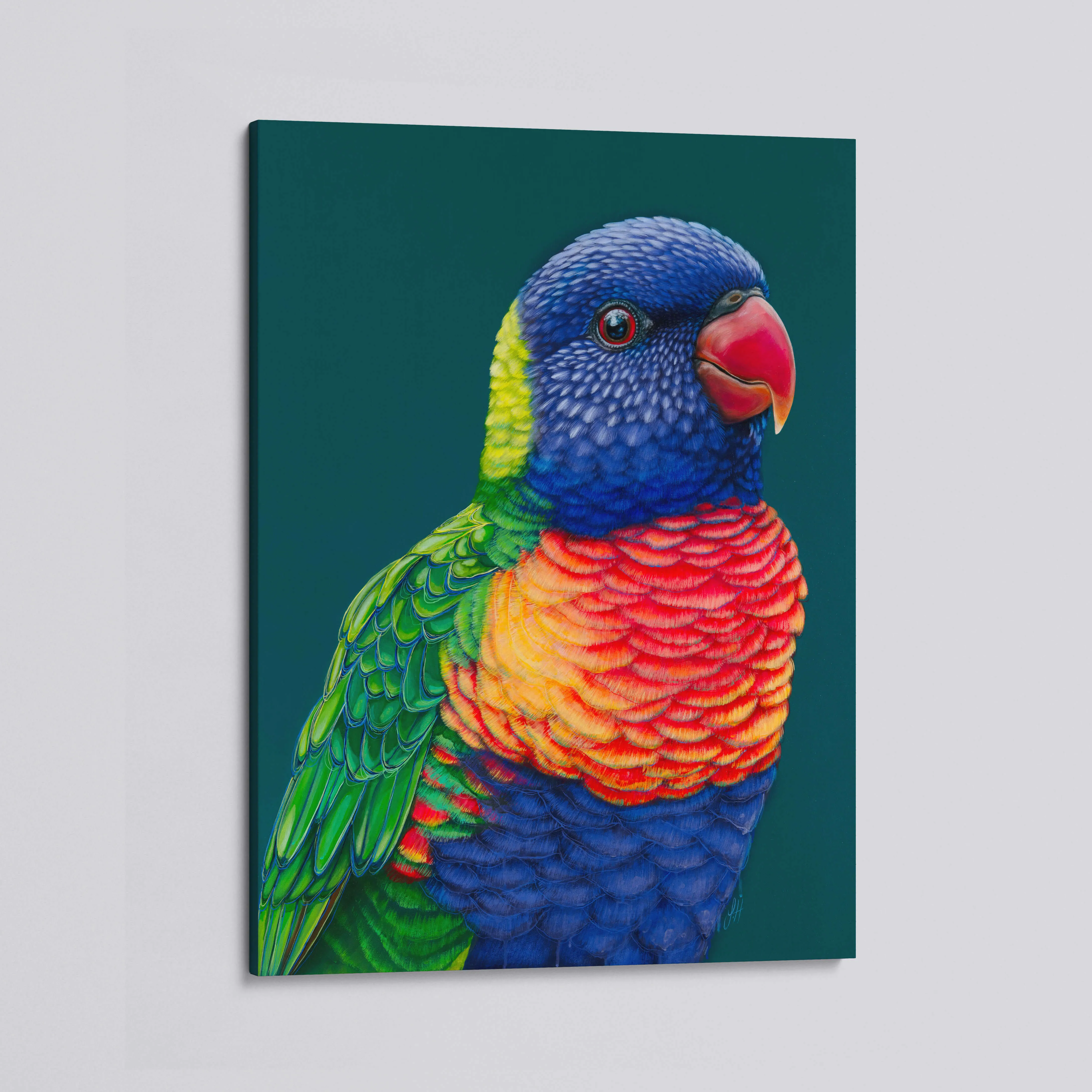 'Rupert' The Rainbow Lorikeet canvas print