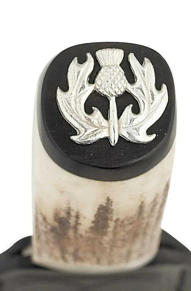 Staghorn Thistle Sgian Dubh - SD90T