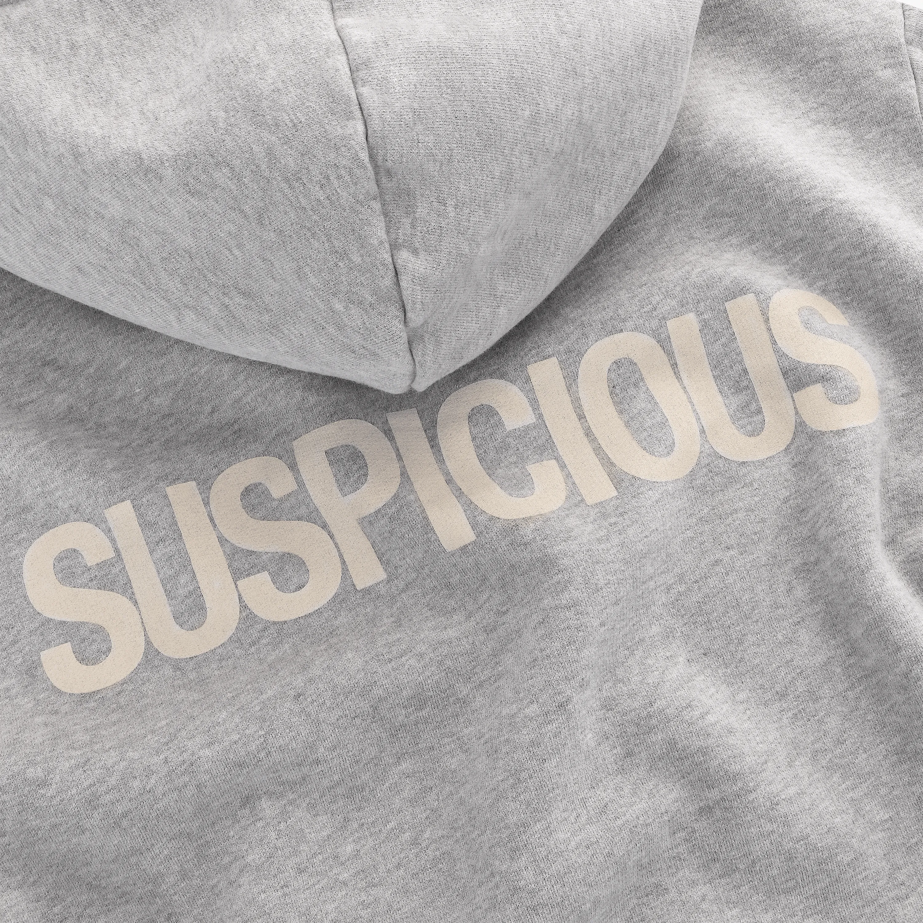 The Suspicious Hoodie - Neutral Heather